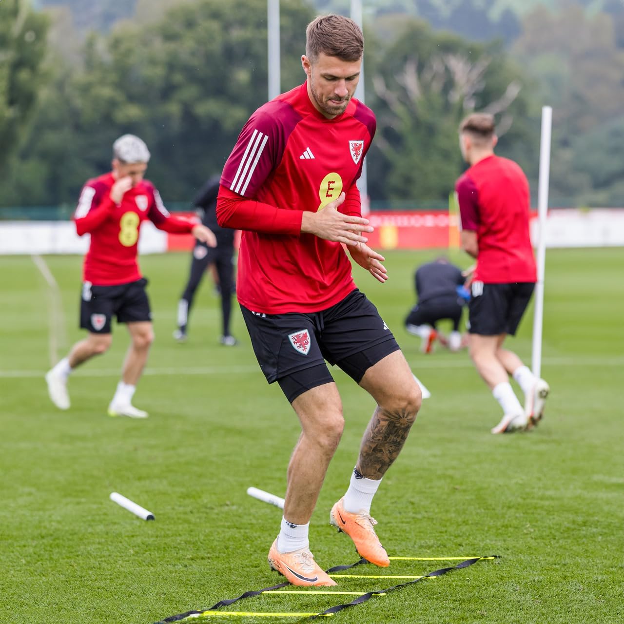 FORZA Speed & Agility Training Ladder – Adjustable Plastic Rungs with Durable Nylon Edges – Available in 3m & 6m Lengths – Ideal for Football, Rugby & Fitness Training